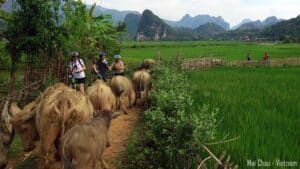 Découvrez le Vietnam autrement avec notre sélection d&rsquo;agences de voyage recommandées !